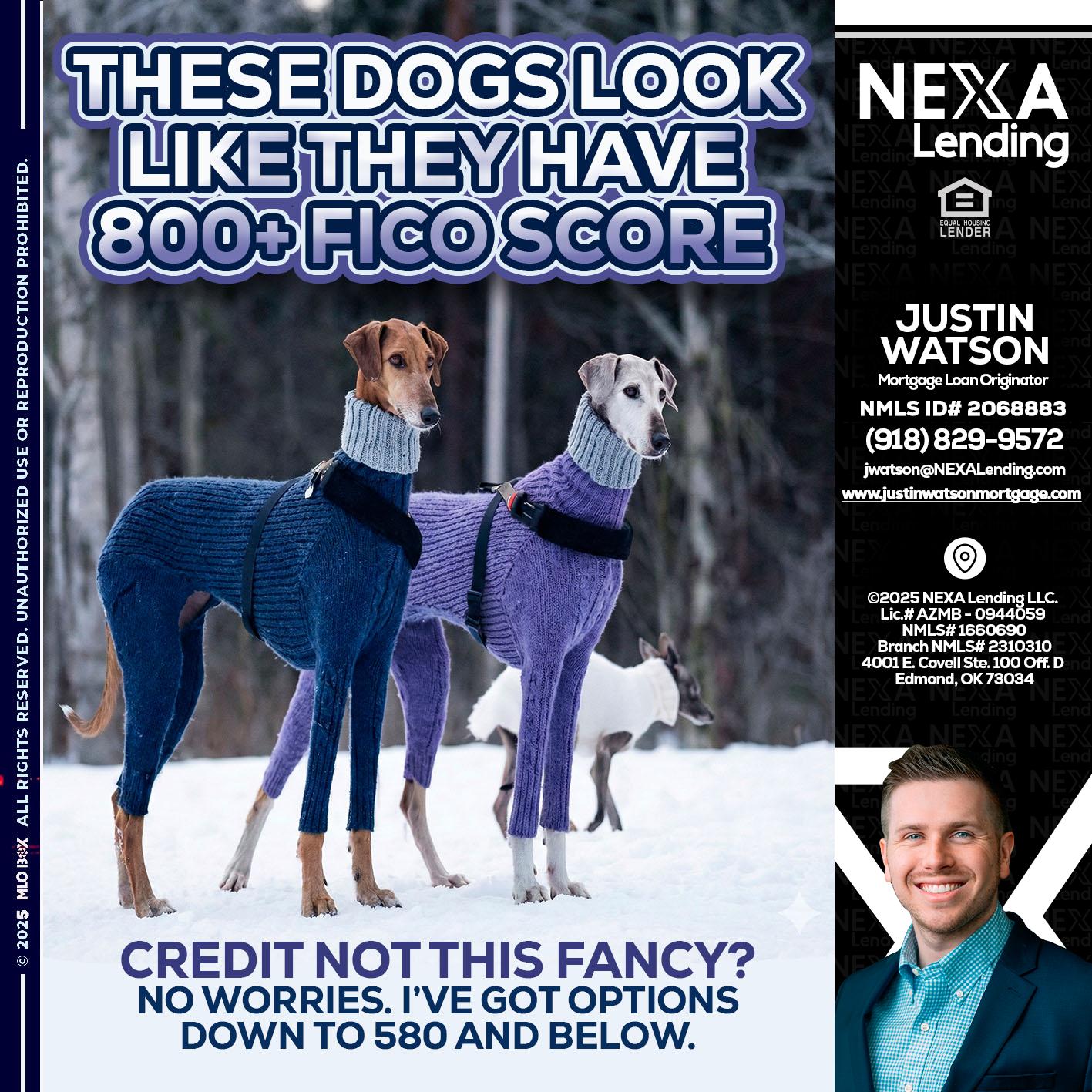 THESE DOGS LOOK - Justin Watson -Mortgage Loan Originator